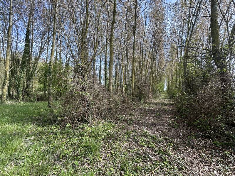 vente maisons Cayeux-sur-Mer